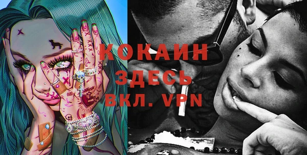 дживик Козельск