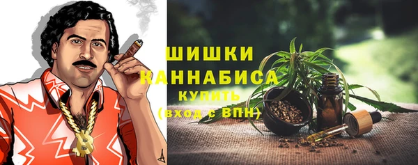 дживик Козельск