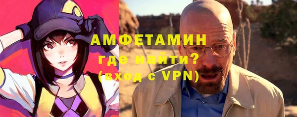 гашик Краснослободск