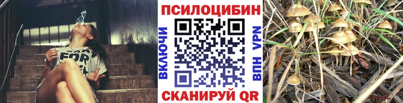 Галлюциногенные грибы GOLDEN TEACHER Красноуфимск